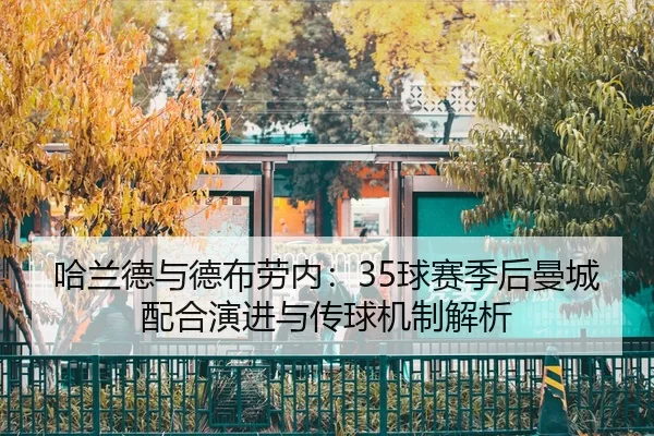 ha-lan-de-yu-de-bu-lao-nei-qiu-sai-ji-hou-man-cheng-pei-he-yan-jin-yu-chuan-qiu-ji-zhi-jie-xi-2-164.jpg