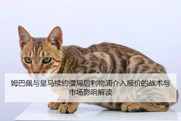 mu-ba-pei-yu-huang-ma-xu-yue-jiang-ju-hou-li-wu-pu-jie-ru-bao-jia-de-zhan-shu-yu-shi-chang-ying-xiang-jie-du-2-660.jpg