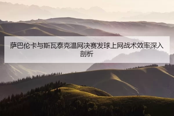 sa-ba-lun-ka-yu-si-wa-tai-ke-wen-wang-jue-sai-fa-qiu-shang-wang-zhan-shu-xiao-lv-shen-ru-pou-xi-2-517.jpg