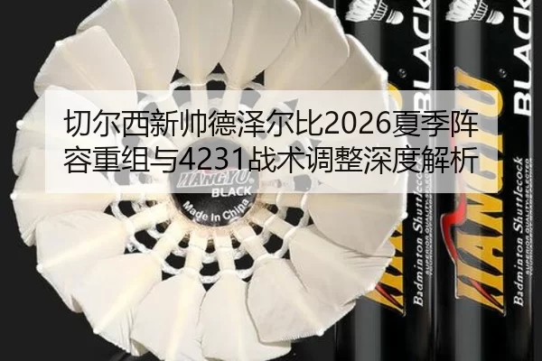 切尔西新帅德泽尔比2026夏季阵容重组与4231战术调整深度解析